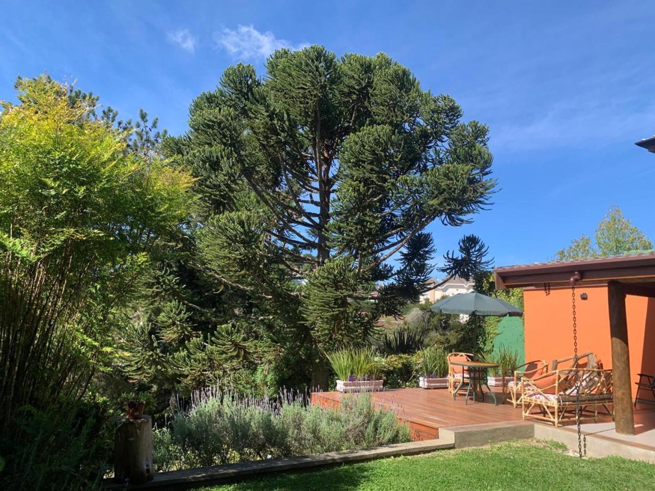 Linda Casa! Aconchegante E Com Otima Localizacao Villa Campos do Jordão Екстериор снимка